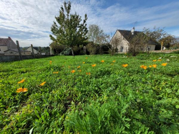 Maison de caractère - 4 chambres - Jardin - centre