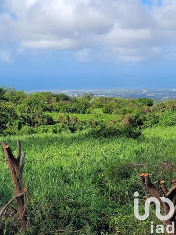 Terrain à vendre 1 207 m² Le Tampon