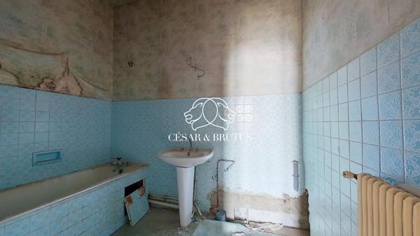 Maison (390 m²) en vente à PANISSIERES