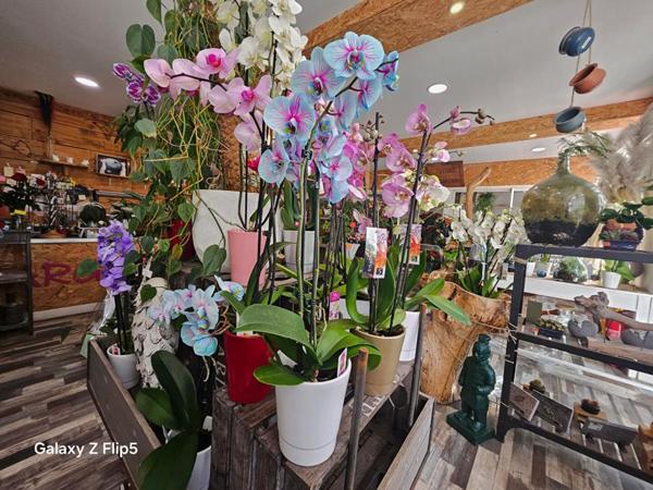 51100 REIMS - FLEURISTE