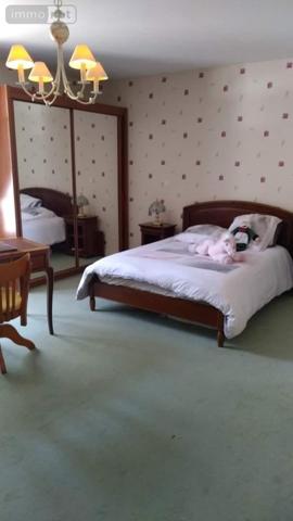 Propriete à vendre à Beaugency dans le Loiret (45190), ref : 091/1421