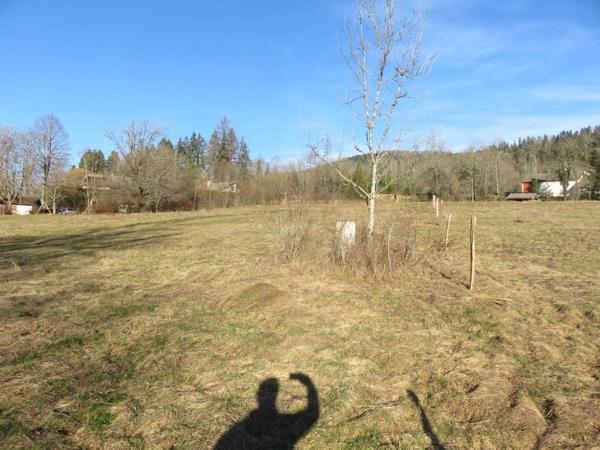 Dpt Ain (01), à vendre HAUTEVILLE LOMPNES terrain