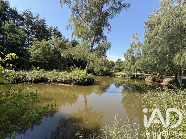 Maison à vendre 10 pièces 234 m² Le Mans