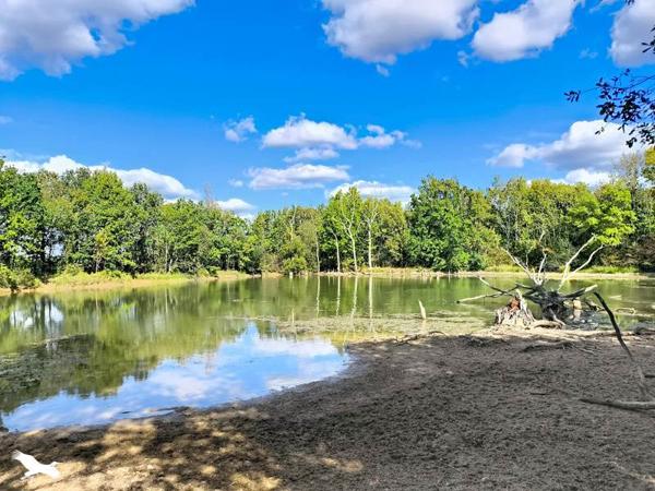Maison à vendre 350 064 € Montlieu-la-Garde 5 p 193 m² DPE D