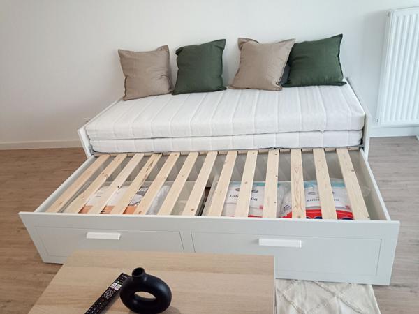 Appartement Fleury Les Aubrais 1 pièce(s) 36 m2