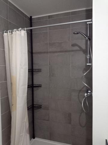 Appartement Fleury Les Aubrais 1 pièce(s) 36 m2