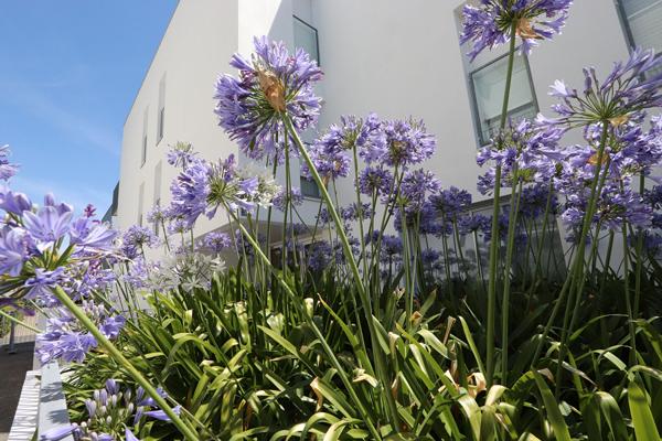 Appartement Saint Nazaire 3 pièce(s) - Rez-de-chaussée, garage privatif - La mer à pied