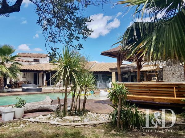 Mas provençal d'exception aux portes de la petite Camargues: L'art de vivre et d'investir