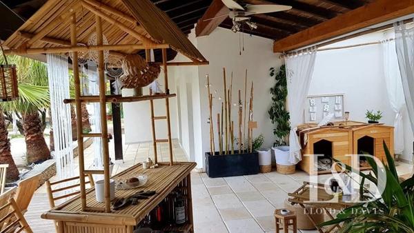 Mas provençal d'exception aux portes de la petite Camargues: L'art de vivre et d'investir