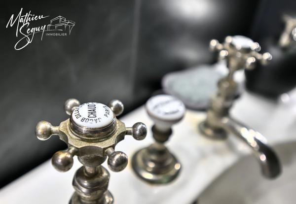 Propriete à vendre 13 pièces proche de SAINT SYMPHORIEN SUR COISE (69) de 525m² sur un parc classé de 5800 m²