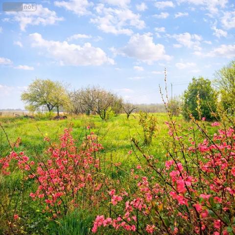 Achat - Maison Saint-Paterne-Racan 37370 80 m 2 2615 m 2