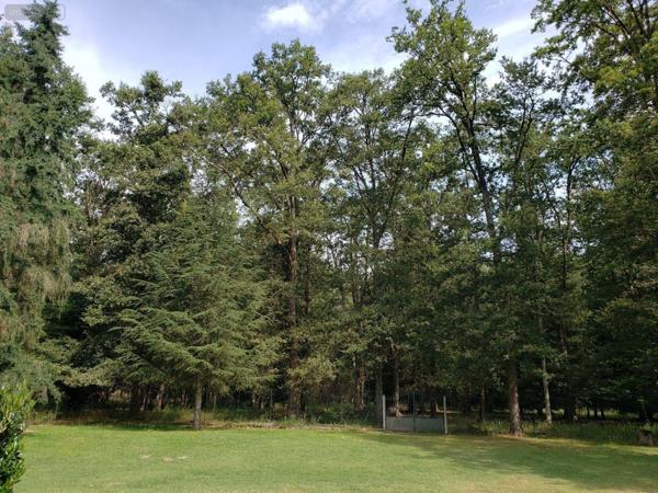 Propriété d'agrément à vendre à Pruniers-en-Sologne dans le Loir-et-Cher (41200), ref : 41036/2894   
Campagne