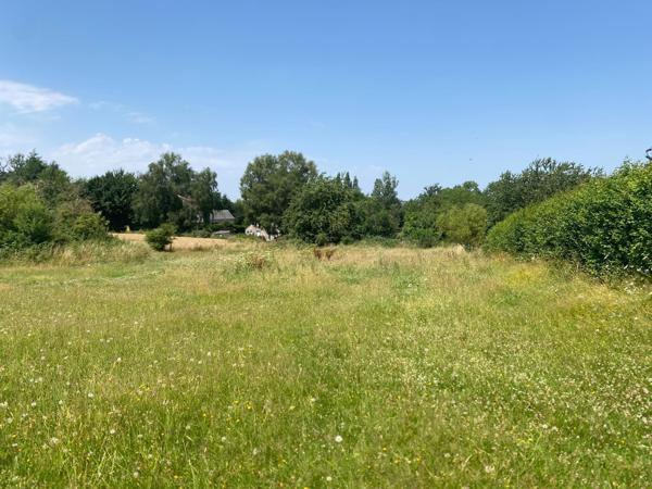 Terrain à bâtir de 1616 m², non viabilisé, La Bazoque