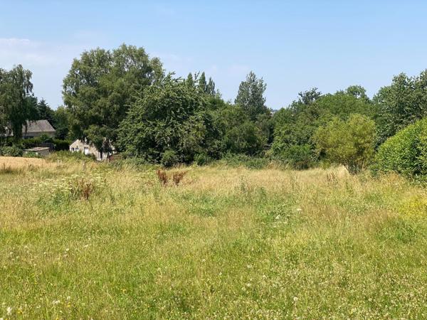 Terrain à bâtir de 1616 m², non viabilisé, La Bazoque