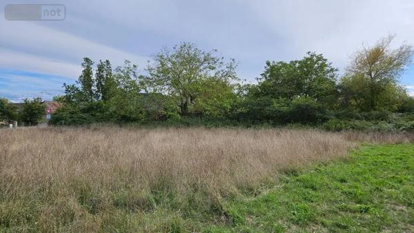 Achat - Terrain à bâtir | Terrain à bâtir Noyen-sur-Sarthe 72430 4285 m 2 4285 m 2
