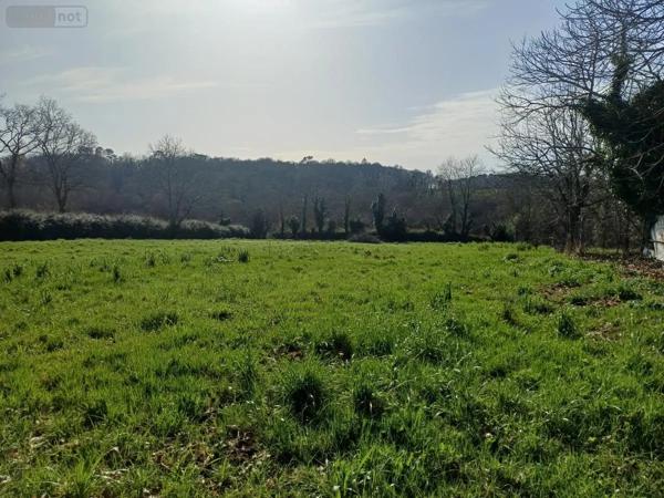Achat - Maison Plouay 56240 3 pièces 84 m 2 4406 m 2