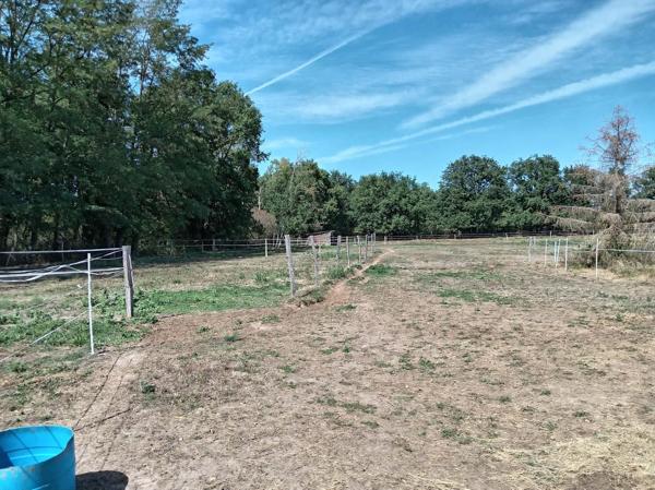 terrain agricole pour elevage chevaux avec piste d'entrainement au calme