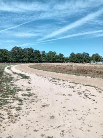 terrain agricole pour elevage chevaux avec piste d'entrainement au calme