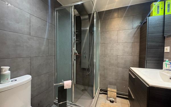 Appartement à louer    1 pièce •  Lyon 7