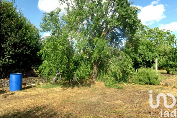 Terrain à vendre 338 m² Lussac-les-Châteaux