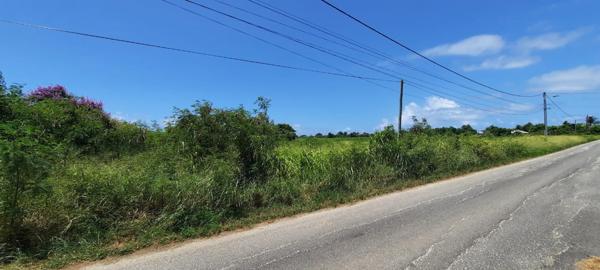 Vente TerrainSAINT FRANCOIS (97118)
