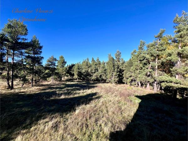 Maison à vendre 7 pièces SAINT PIERRE DELS FORCATS (66)