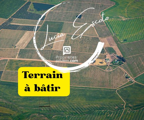 Terrain à bâtir