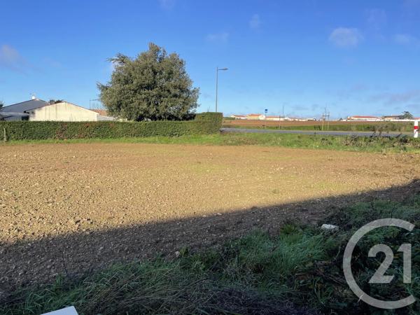 Terrain à vendre  850 m 2   LUCON  - 85