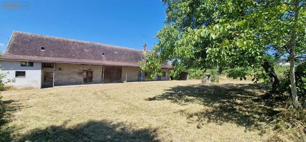 Achat - Maison Louhans-Châteaurenaud 71500 3 pièces 80 m 2 4000 m 2