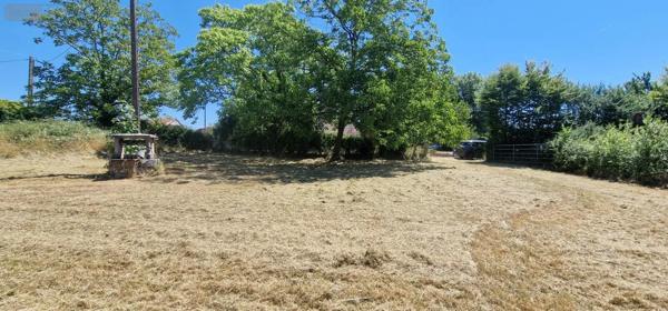 Achat - Maison Louhans-Châteaurenaud 71500 3 pièces 80 m 2 4000 m 2