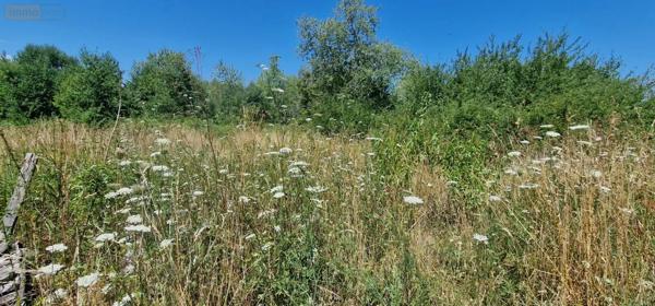 Achat - Maison Louhans-Châteaurenaud 71500 3 pièces 80 m 2 4000 m 2