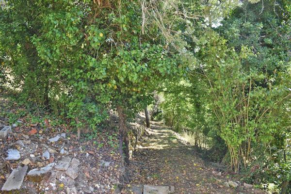 Maison Montignac Lascaux 4 pièce(s) 65 m2