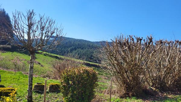 MAISON DE CAMPAGNE AVEC AVEC 1 ha35ca de TERRAIN