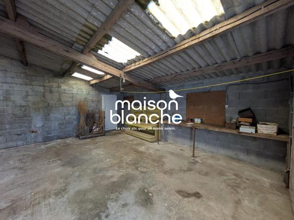 Maison avec terrain et garages