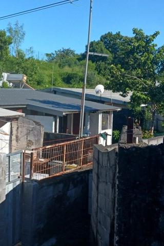 2 ANANAS T4- MOUFIA – SAINTE CLOTILDE