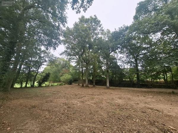 Achat - Terrain à bâtir Romazy 35490 2026 m 2 2522 m 2