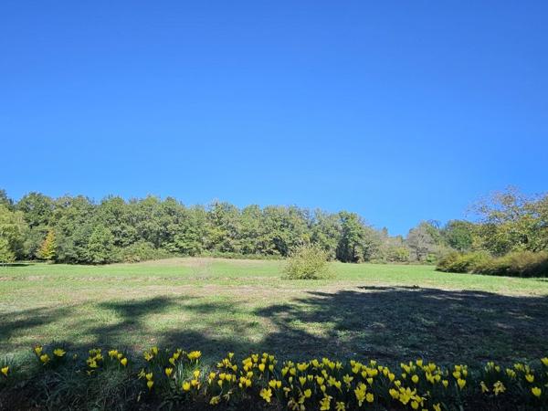 Vente / Maison en pierre