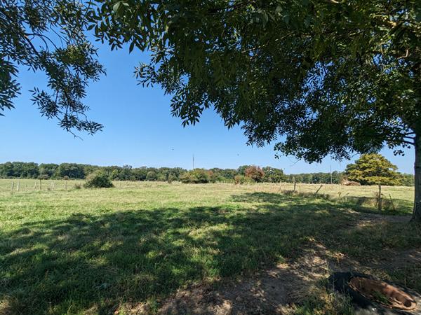 Maison Saint Seine En Bâche 8 pièce(s) 200 m² sur un terrain clos et plat de 5300 m²