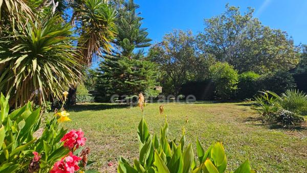 HYÈRES – PROPRIÉTÉ  SUR PLUS D'1 HECTARE – MAISON PRINCIPALE DE PLAIN-PIED, PISCINE ET ENSEMBLE BÂTI