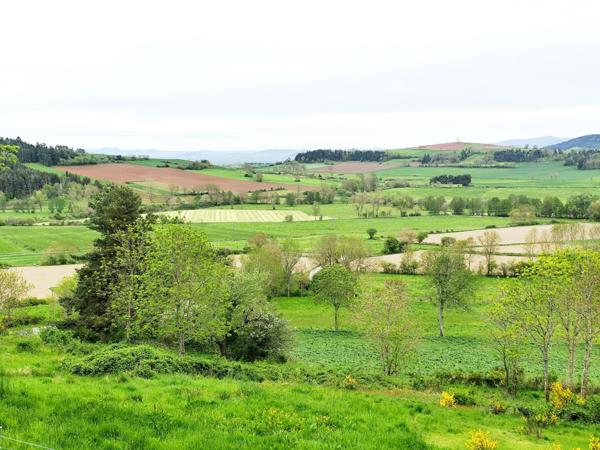 Grand corp de ferme 260m2 cadre exceptionnel