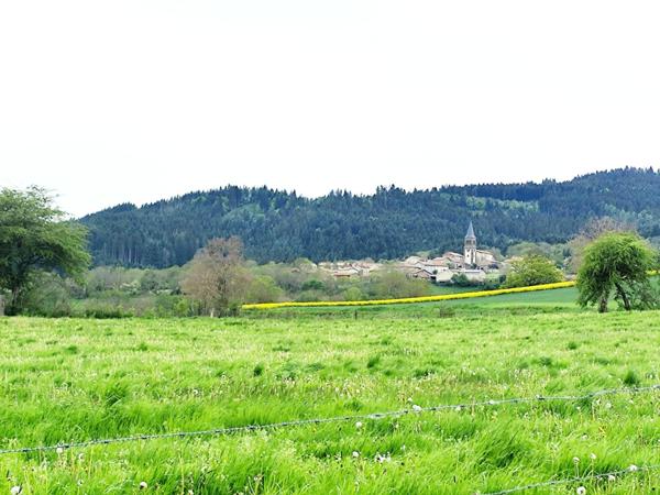 Grand corp de ferme 260m2 cadre exceptionnel