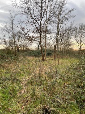 Terrain - L'Agence Locale