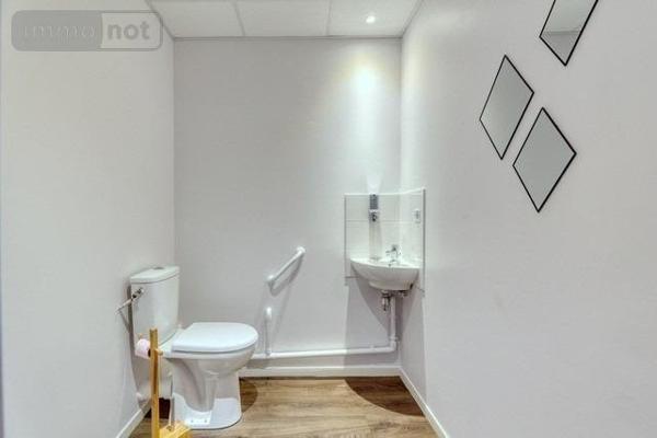 Fonds et/ou murs commerciaux à louer à Rennes en Ille-et-Vilaine (35200), ref : 35024-L230