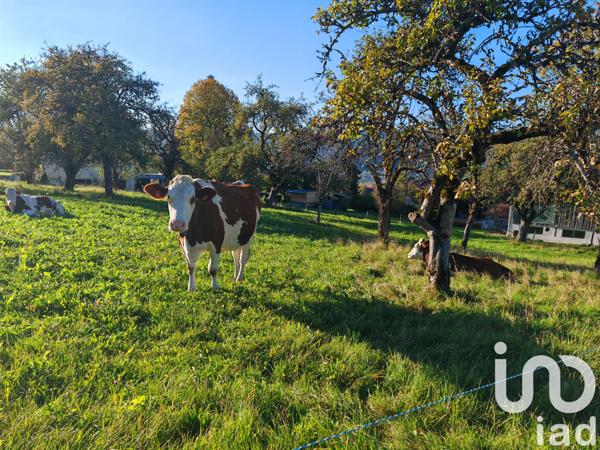Maison à vendre 2 pièces 180 m² Montlebon