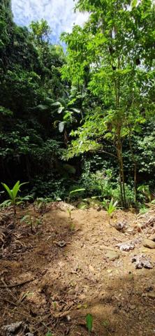 Terrain 1700m² LAMENTIN