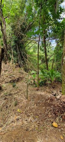 Terrain 1700m² LAMENTIN