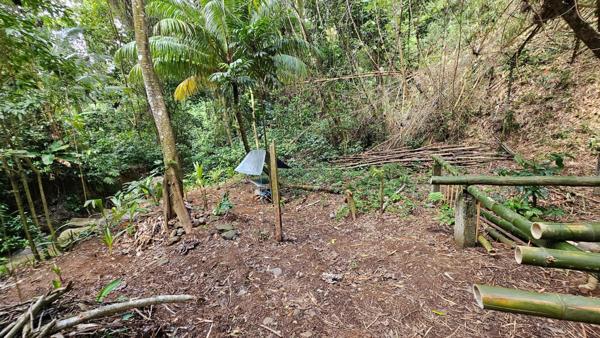 Terrain 1700m² LAMENTIN