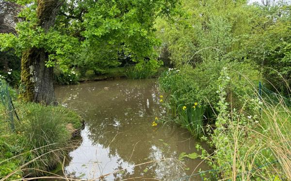 Maison à vendre    6 pièces •  Coudures