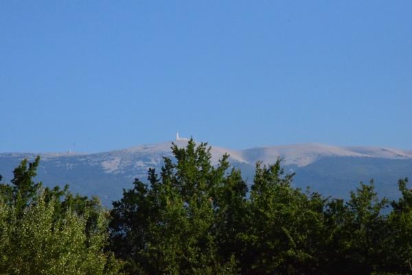 Mormoiron (84570) Beau domaine avec bâtisse, gîtes, chambre d'hôte, production de vins et d'huile d'olive