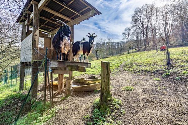 Maison 6 pièces - 147 m²